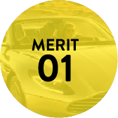 MERIT01